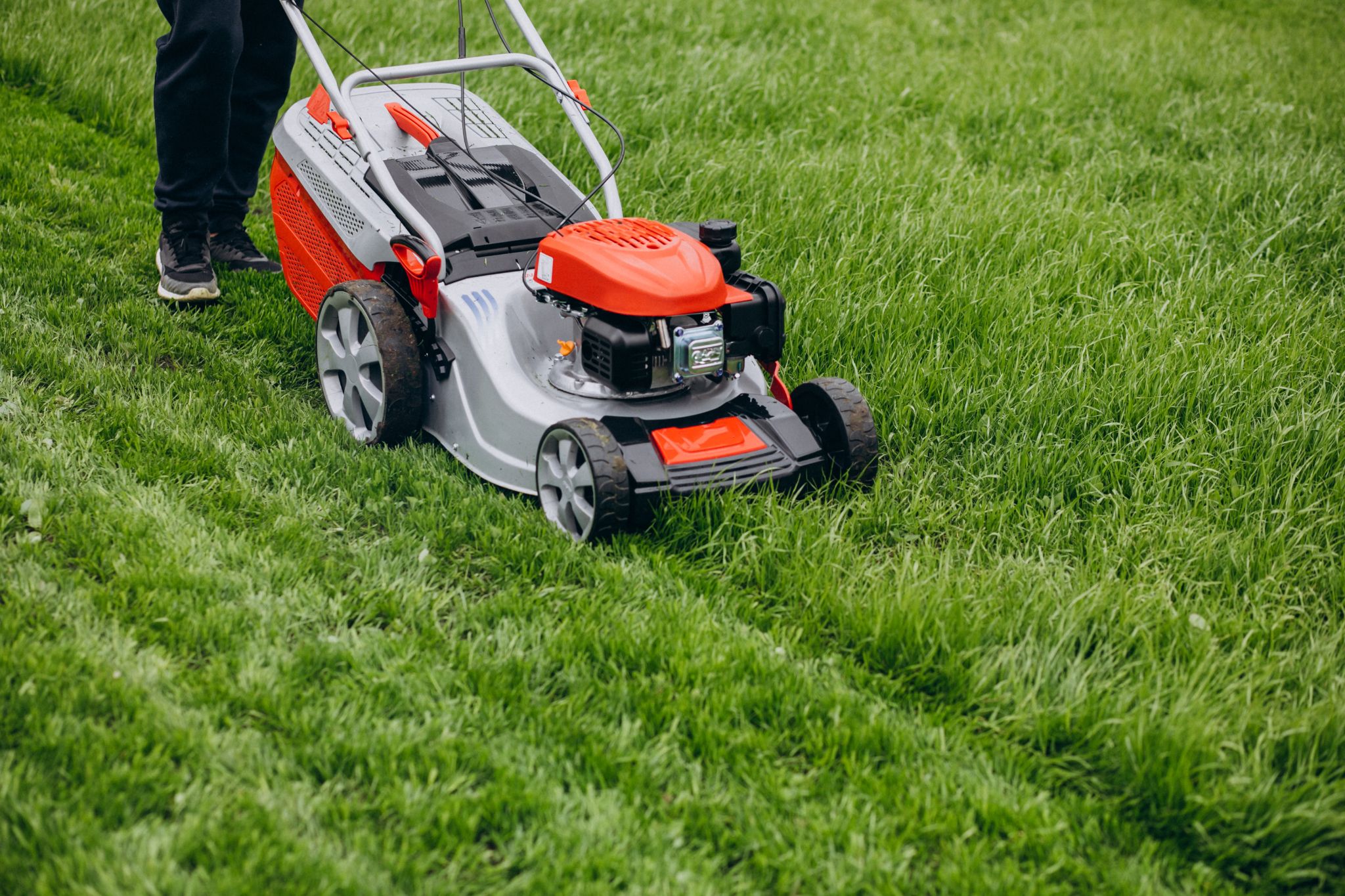 5 Safety Measures For Backyard Cleaning