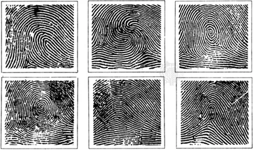 Fingerprint-patterns-top-loop-pocket-right-arch