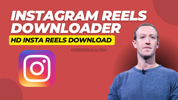 Instagram Video