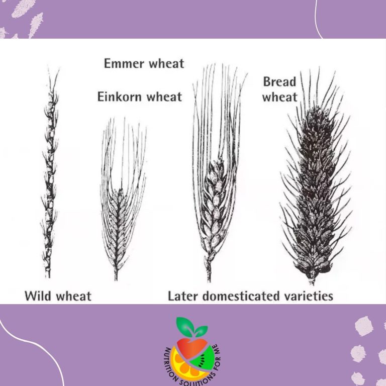 1697235120_278480119_1819635768231597_4537968009492219889_n